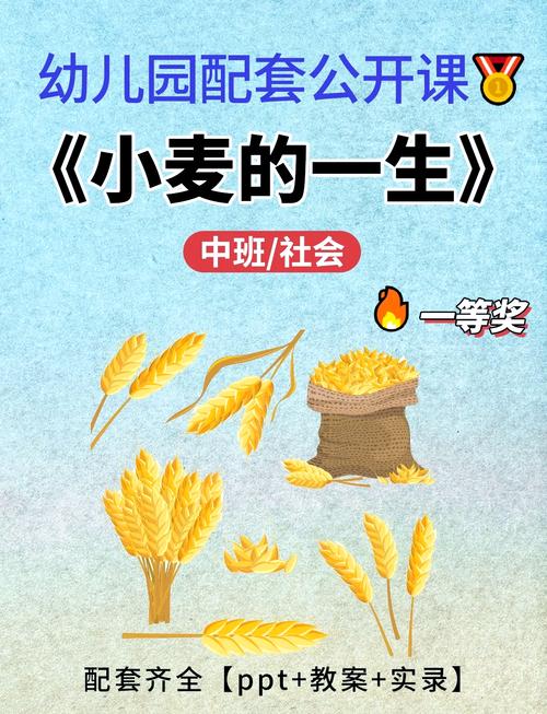 产品图23