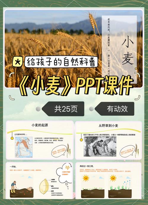 小麦的起源与历史:从新月沃土到全球餐桌