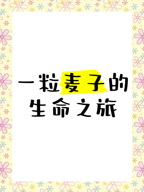 一粒麦子的生命之旅 