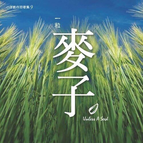 一粒麦子的教育 从种子到生命的启示