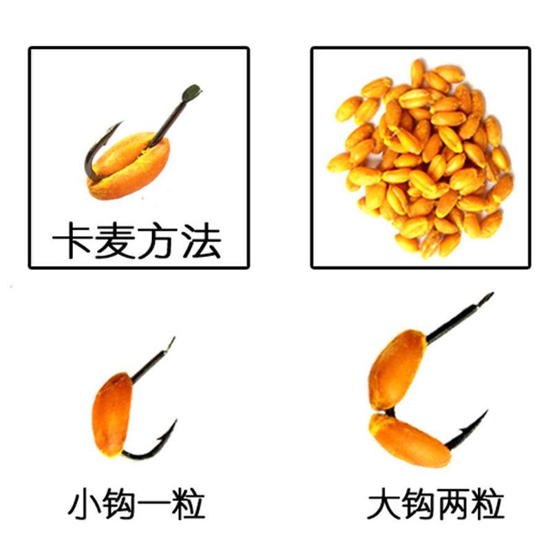 一粒麦子一条鱼 卡麦钓法的嚣张底气与一粒麦子教育智慧